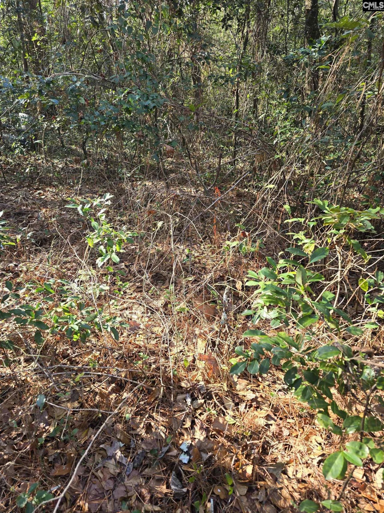 Lot 7 & 8 Popular Street Photo 4