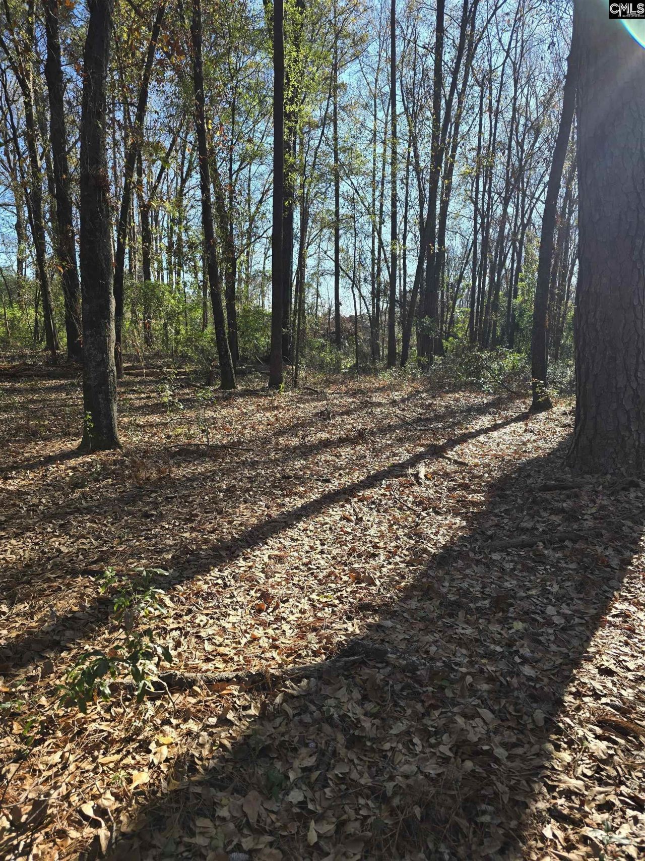 Lot 7 & 8 Popular Street Photo 5