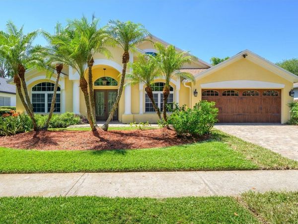 18806 CHEMILLE DRIVE , LUTZ, FL 33558