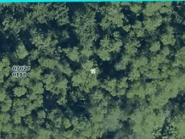 1002 Robert AVE , LEHIGH ACRES, FL 33936