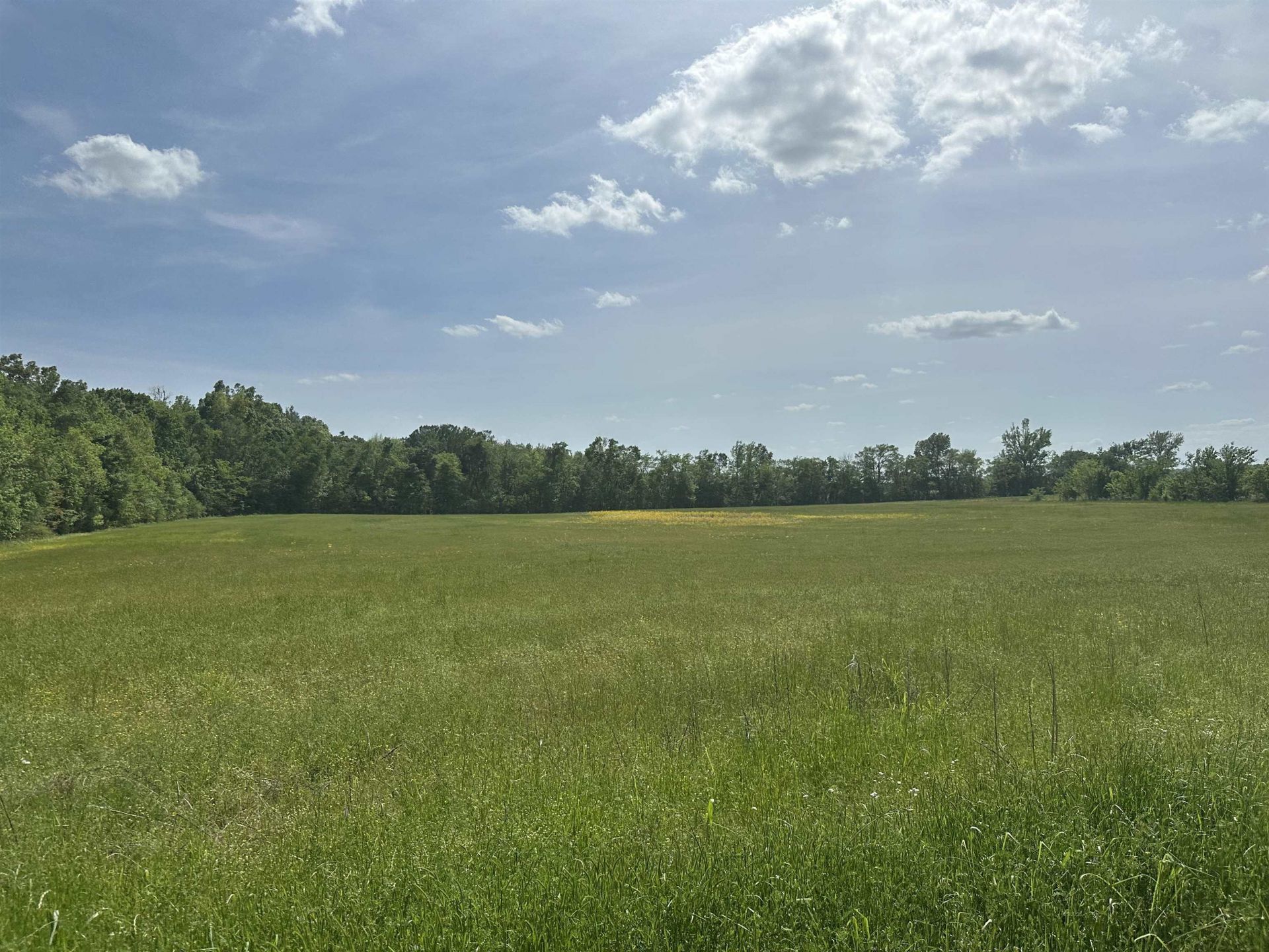 00 Clifton Rd, Savannah, TN 38372 Main Photo