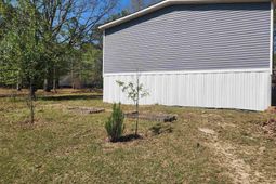 1609 Congress Road  photo 4