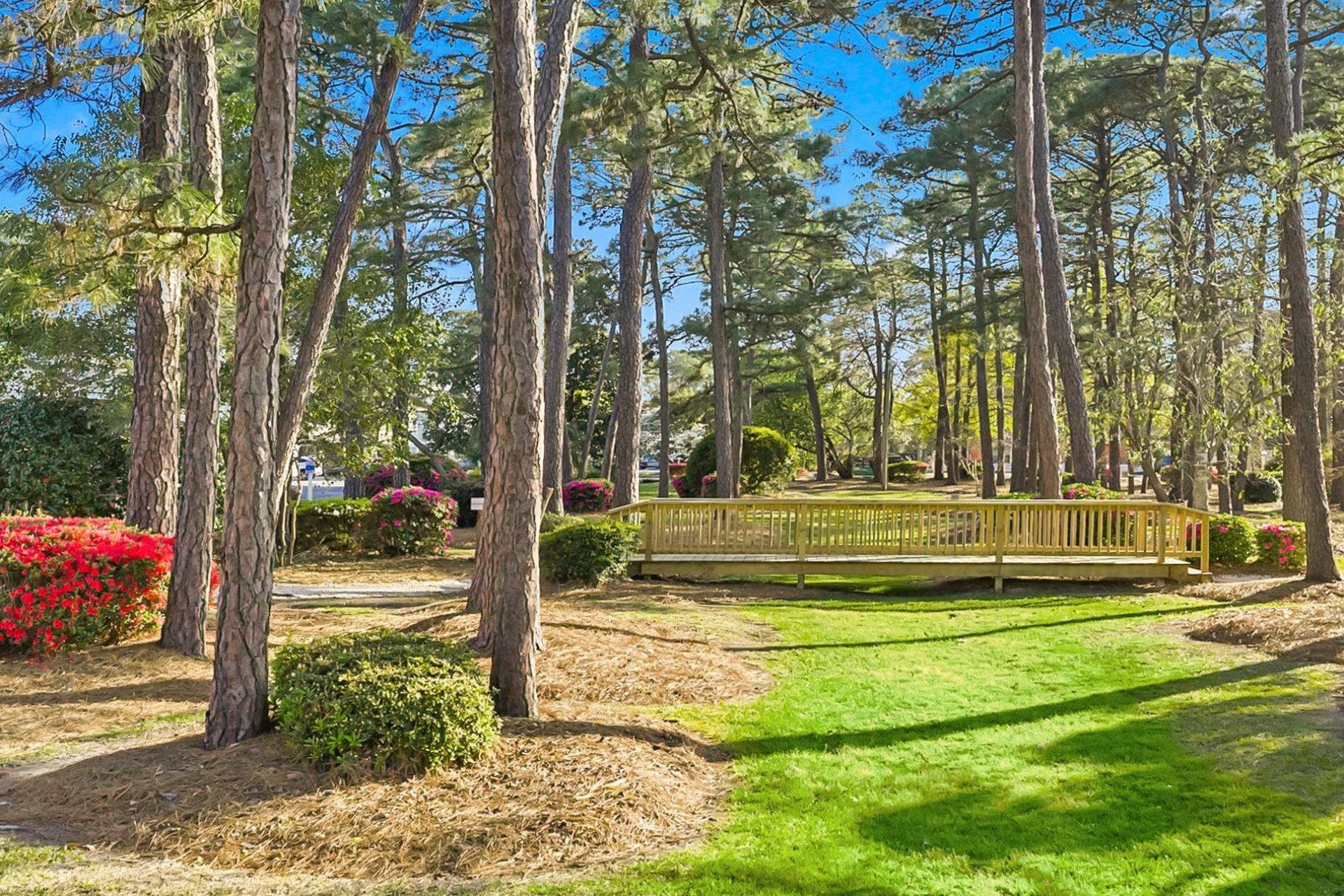 1 Shadow Moss Pl.  Photo 46