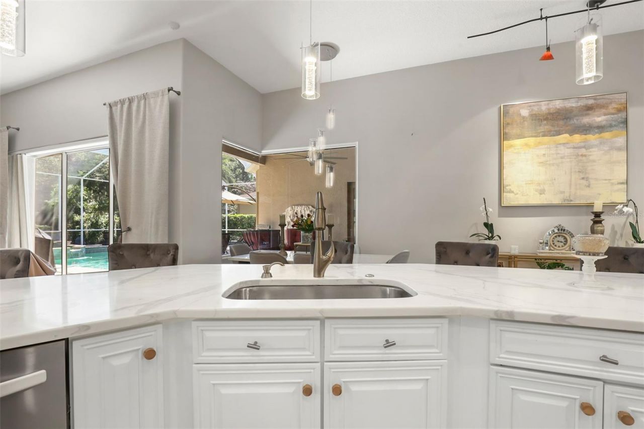 27608 Pine Point Drive , Wesley Chapel, FL 33544 Photo