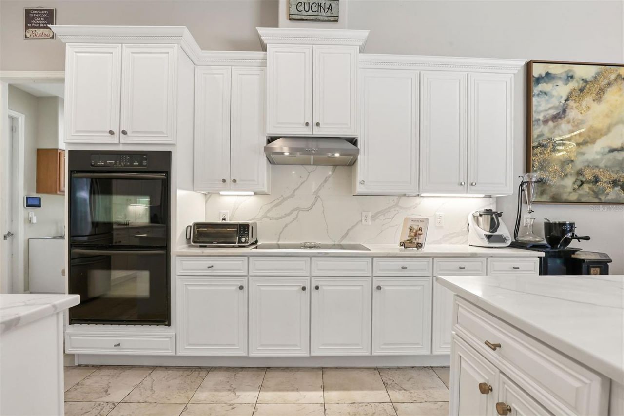 27608 Pine Point Drive , Wesley Chapel, FL 33544 Photo