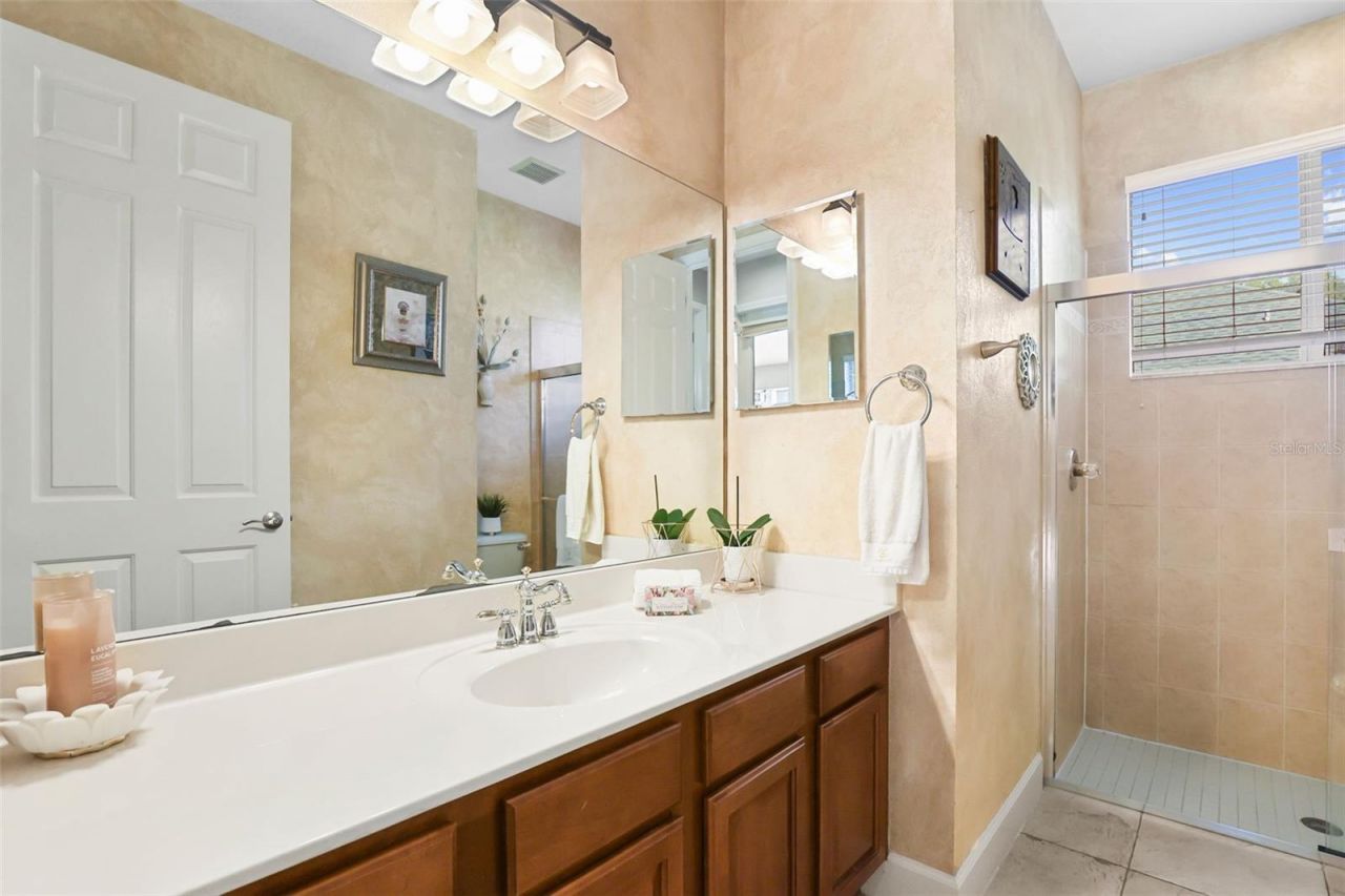 27608 Pine Point Drive , Wesley Chapel, FL 33544 Photo