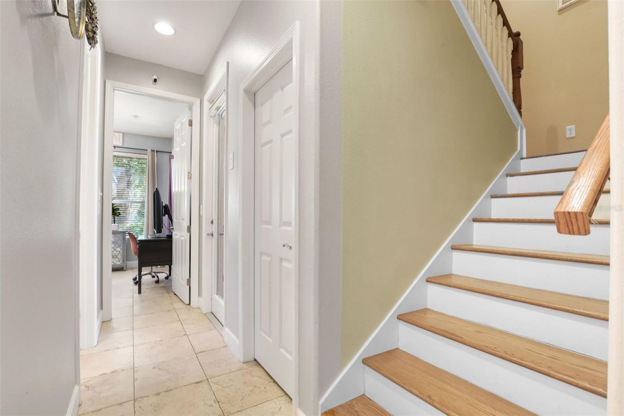 27608 Pine Point Drive , Wesley Chapel, FL 33544 Photo