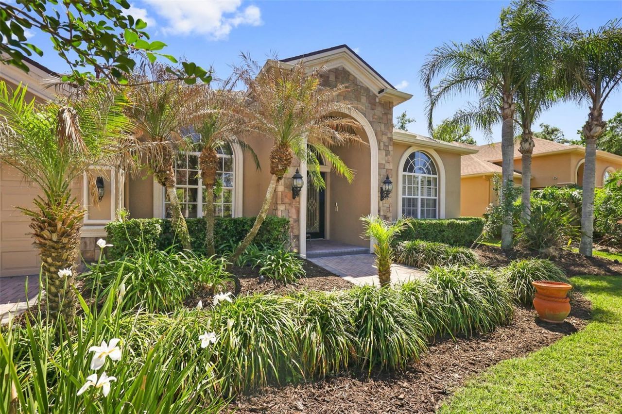 27608 Pine Point Drive , Wesley Chapel, FL 33544 Photo