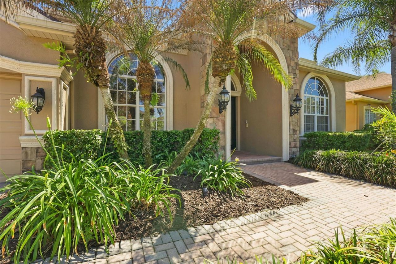 27608 Pine Point Drive , Wesley Chapel, FL 33544 Photo