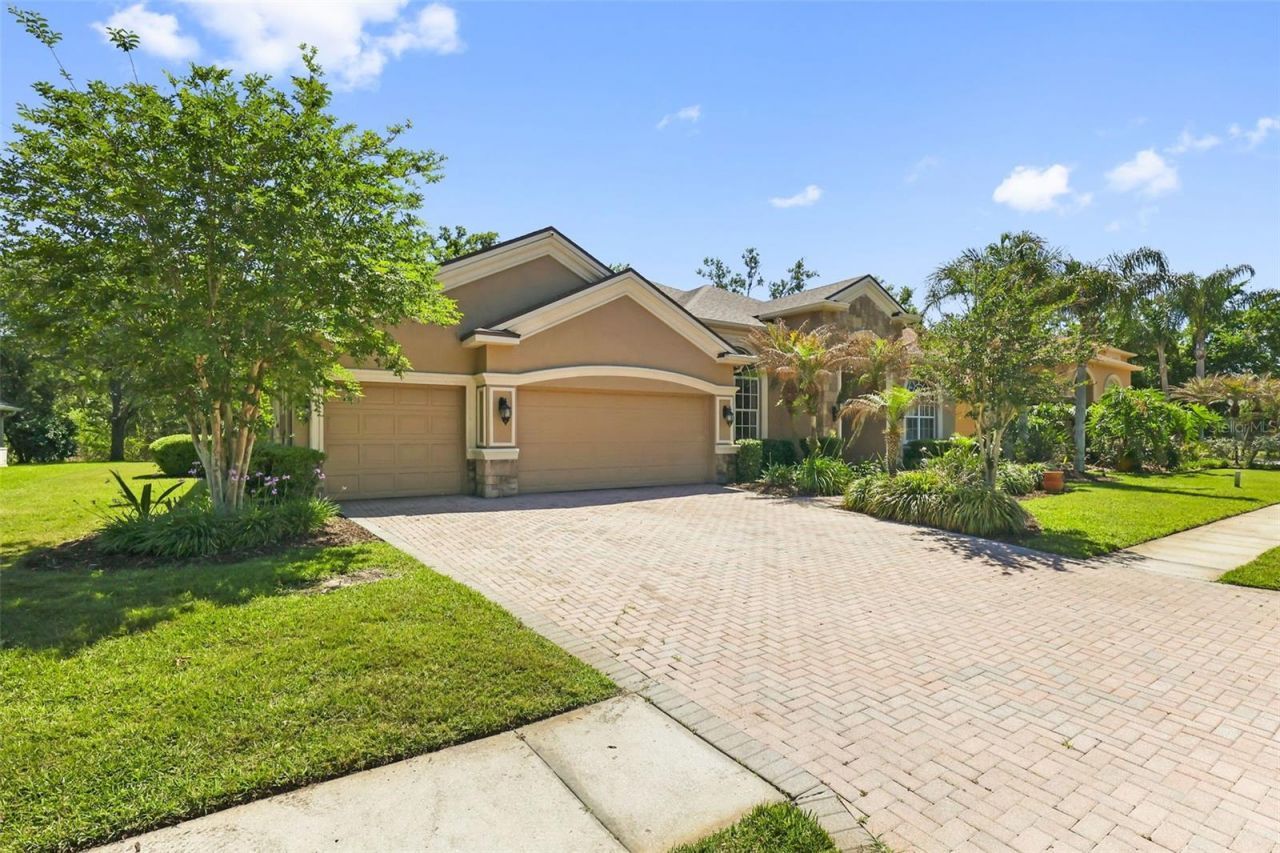 27608 Pine Point Drive , Wesley Chapel, FL 33544 Photo