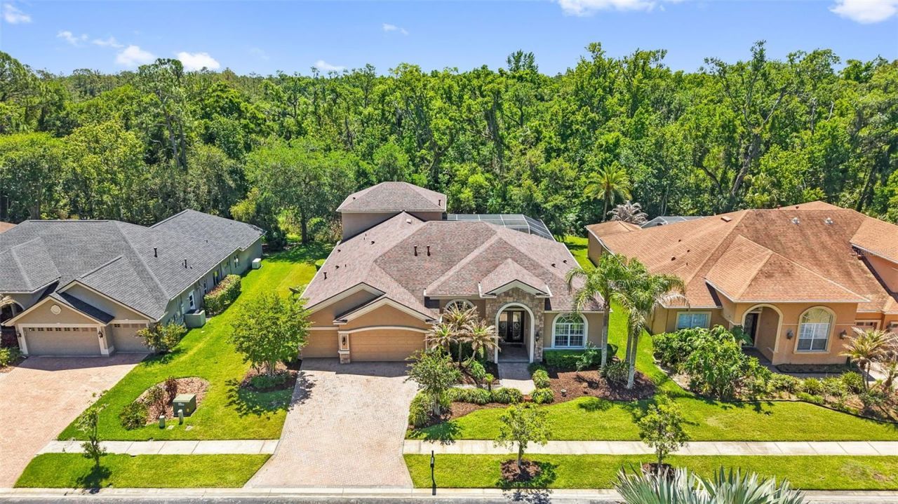 27608 Pine Point Drive , Wesley Chapel, FL 33544 Photo