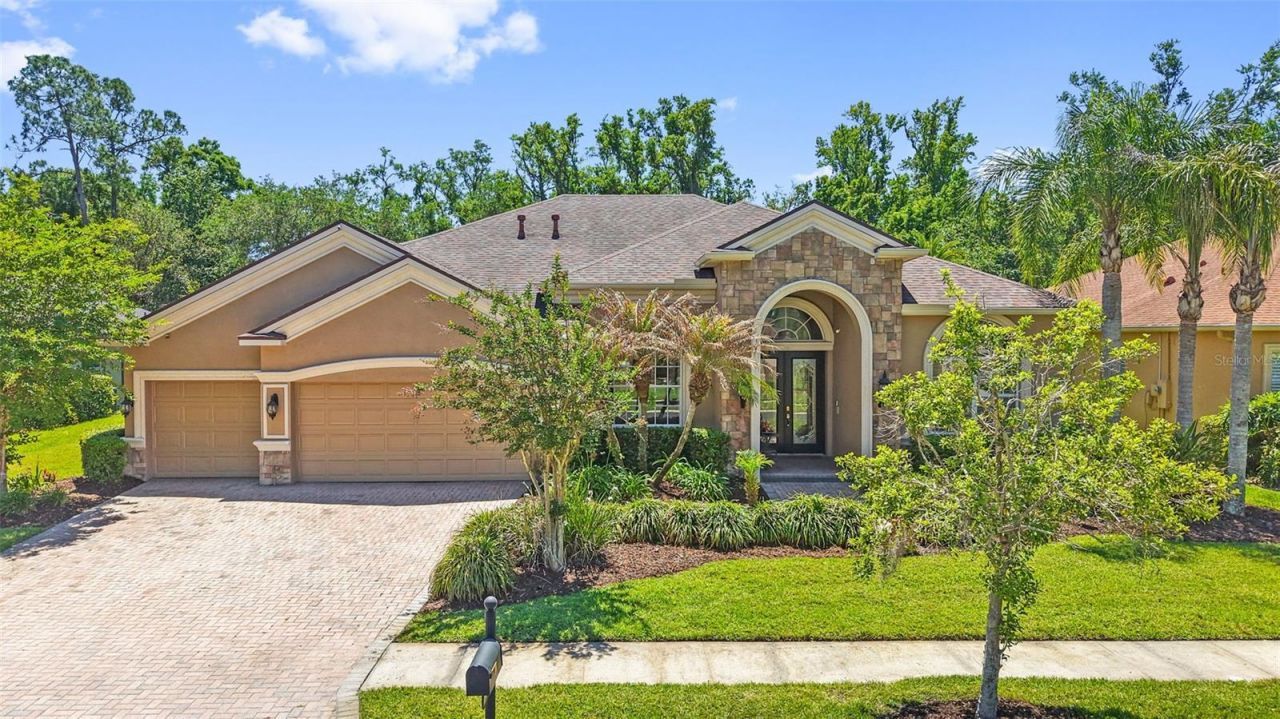 27608 Pine Point Drive , Wesley Chapel, FL 33544 Photo