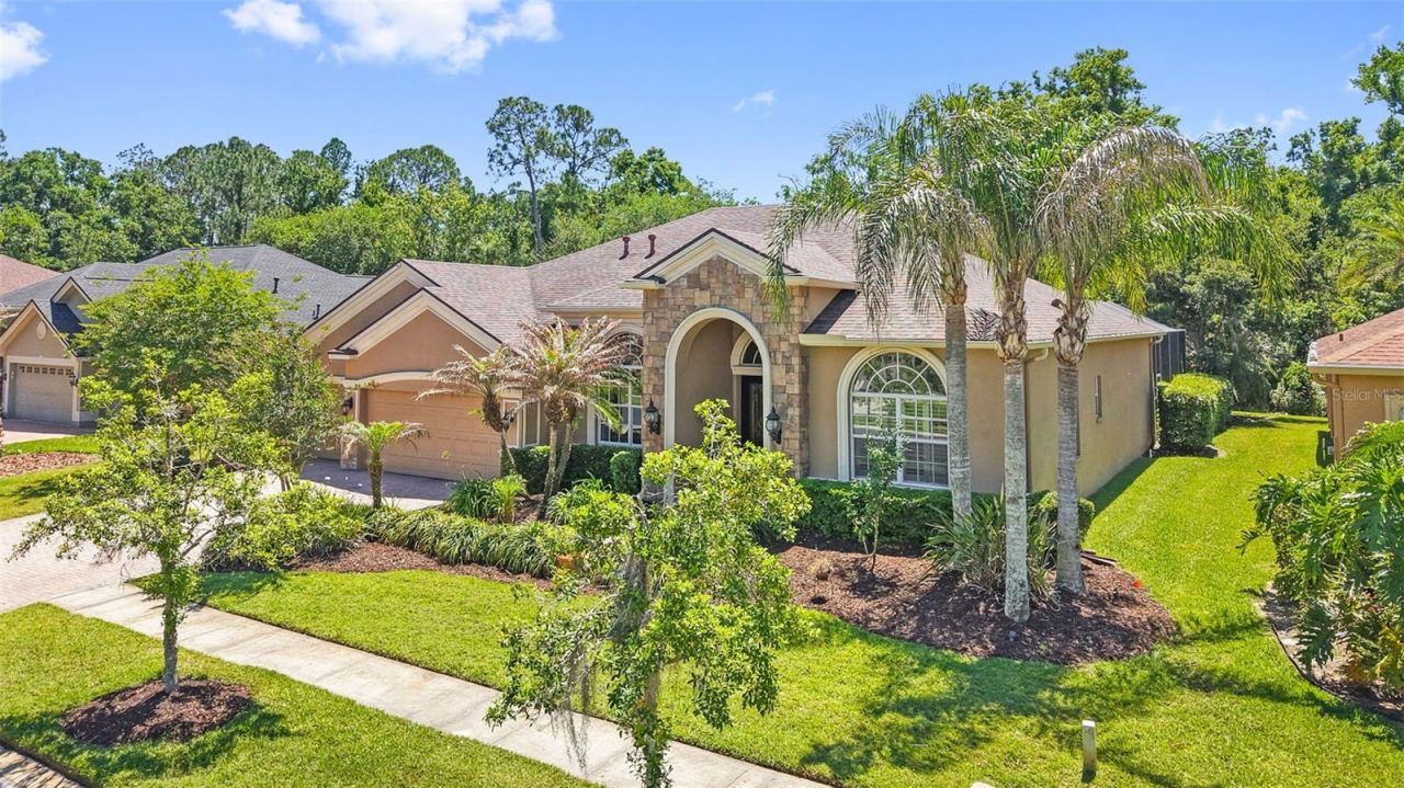 27608 Pine Point Drive , Wesley Chapel, FL 33544 Photo