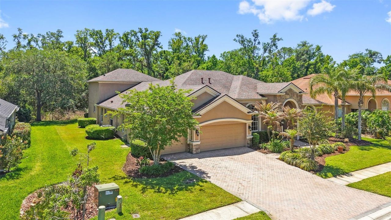 27608 Pine Point Drive , Wesley Chapel, FL 33544 Photo