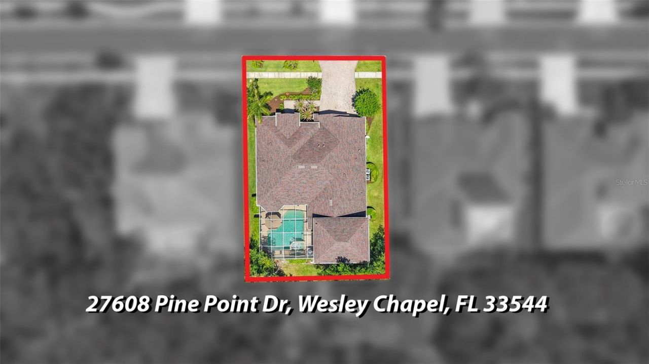 27608 Pine Point Drive , Wesley Chapel, FL 33544 Photo