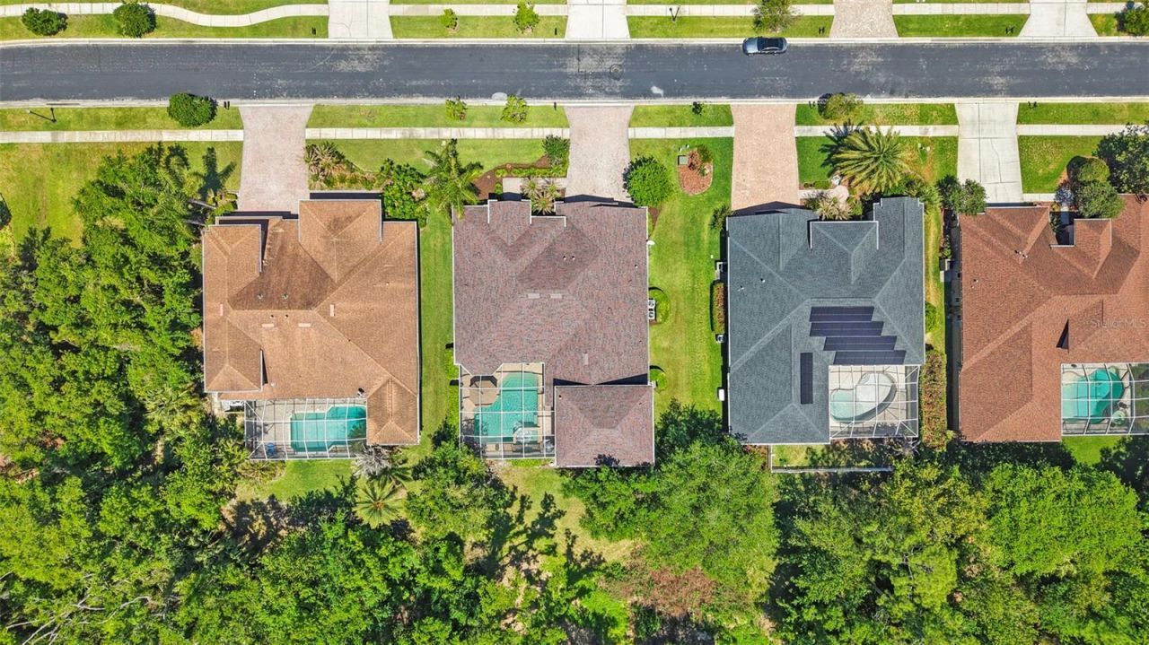 27608 Pine Point Drive , Wesley Chapel, FL 33544 Photo