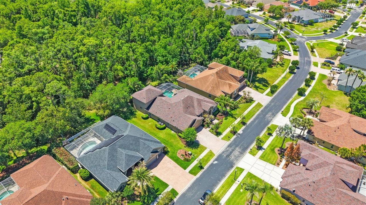 27608 Pine Point Drive , Wesley Chapel, FL 33544 Photo