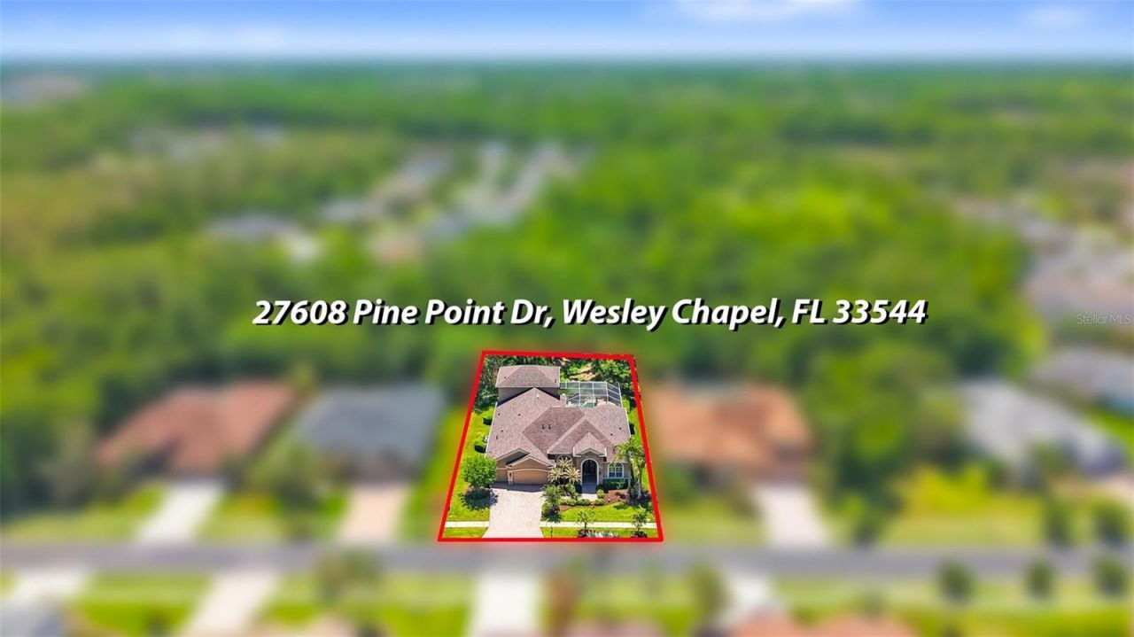 27608 Pine Point Drive , Wesley Chapel, FL 33544 Photo