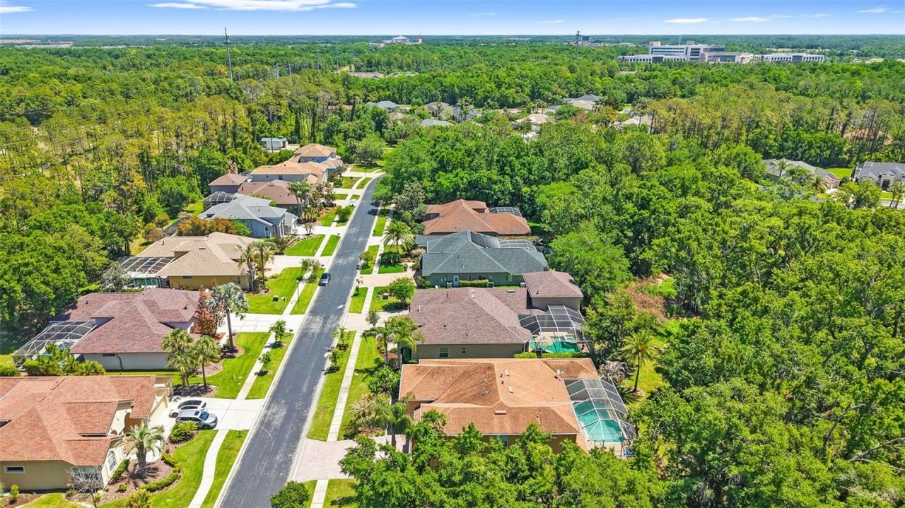27608 Pine Point Drive , Wesley Chapel, FL 33544 Photo