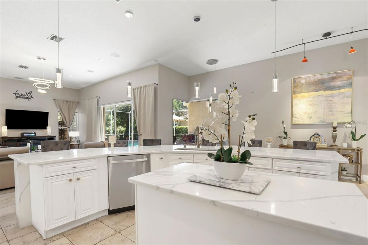 27608 Pine Point Drive , Wesley Chapel, FL 33544 Photo