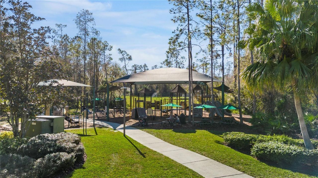 27608 Pine Point Drive , Wesley Chapel, FL 33544 Photo
