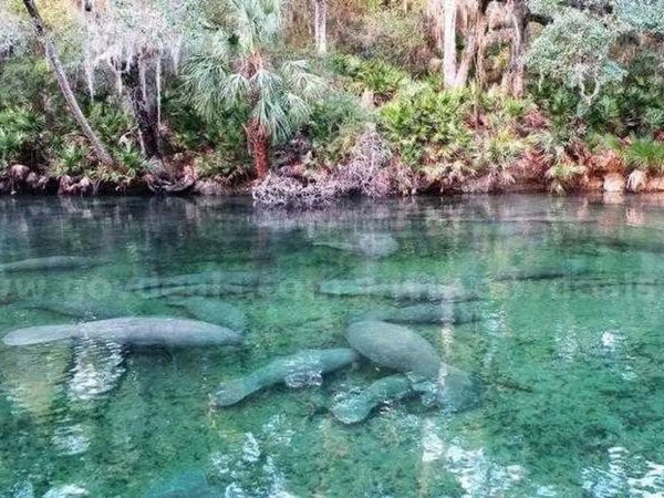 1 WERLEY TRAIL , DELAND, FL 32720