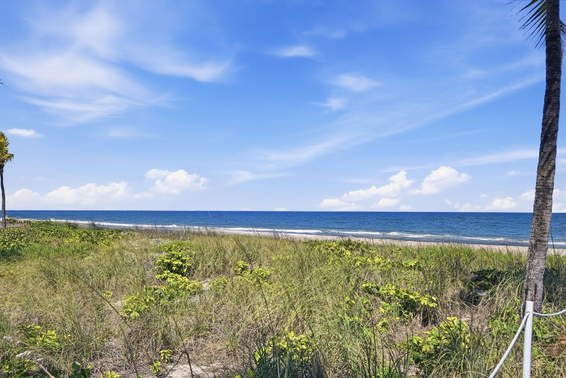 4445 El Mar Drive, Unit 2414, Lauderdale by the Sea, FL 33308 Photo