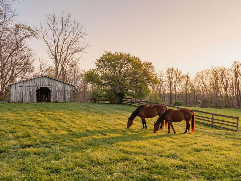 8050 Zimmerman Road , Saint Paris, OH 43072 Photo 11
