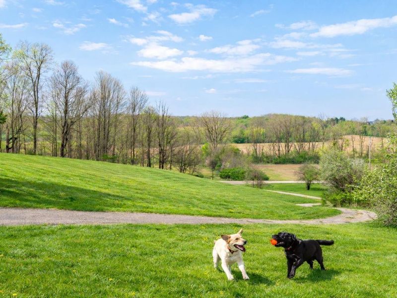 8050 Zimmerman Road , Saint Paris, OH 43072 Photo 39