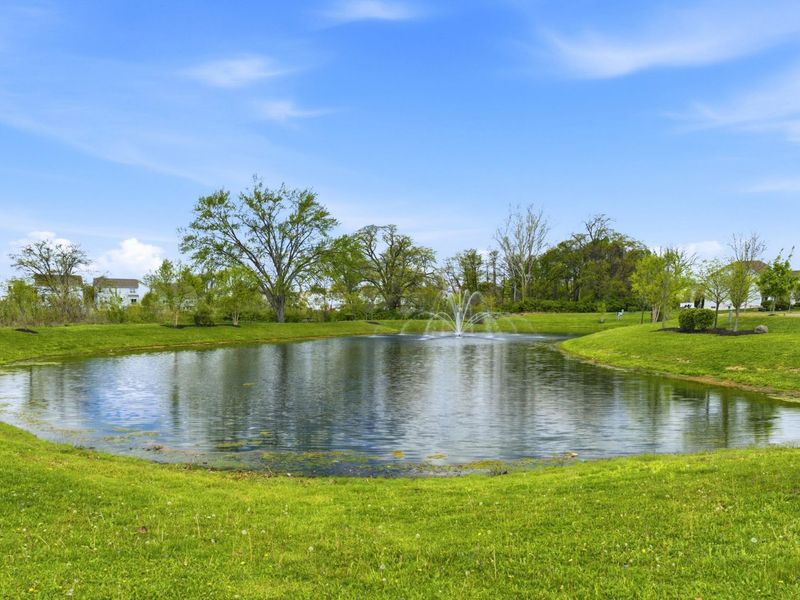 4819 Black Sycamore Drive, Columbus, OH 43231 Photo 40