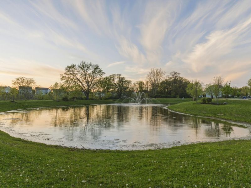 4819 Black Sycamore Drive, Columbus, OH 43231 Photo 41