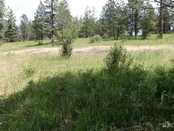TBD Jackpine Rd, CottonWood, ID 83522