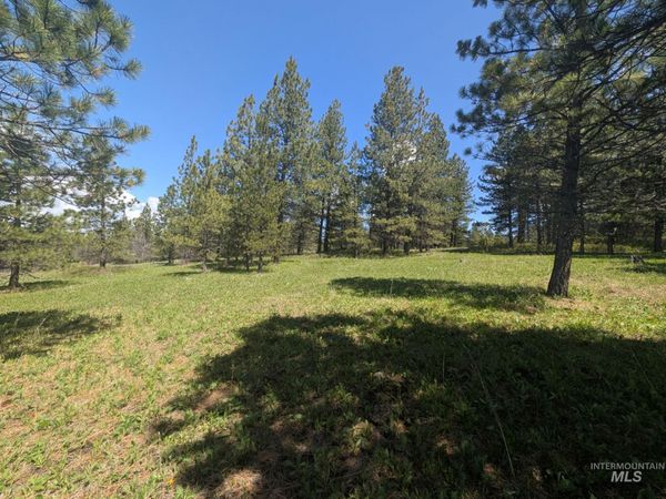TBD Jackpine Rd, CottonWood, ID 83522