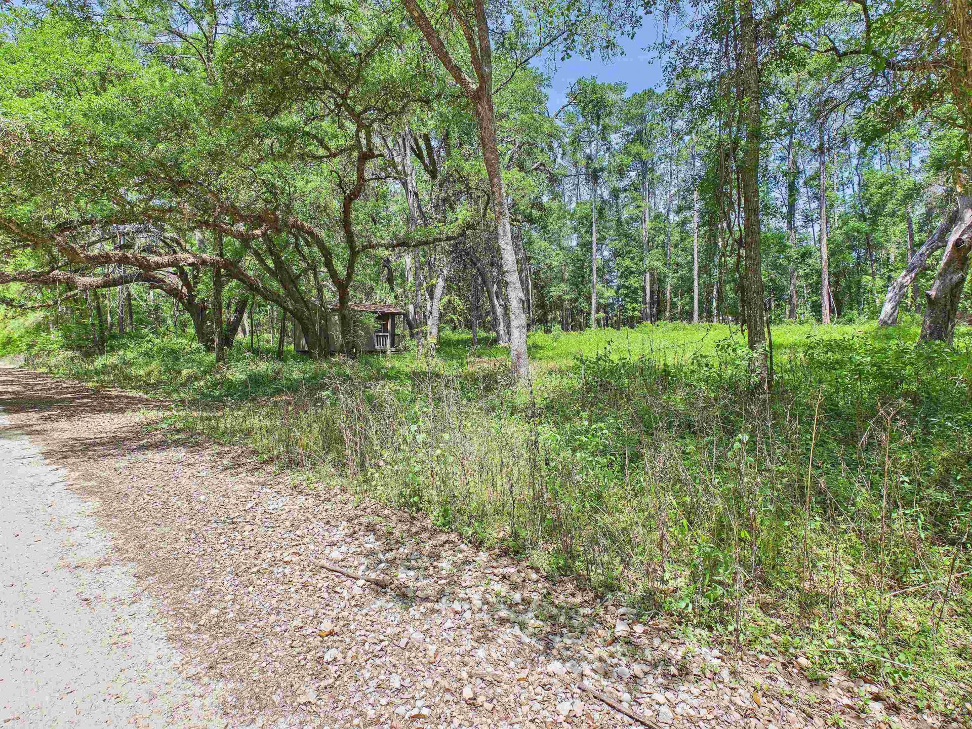 Vacant E 2nd Way, Greenville, FL 32331 Photo