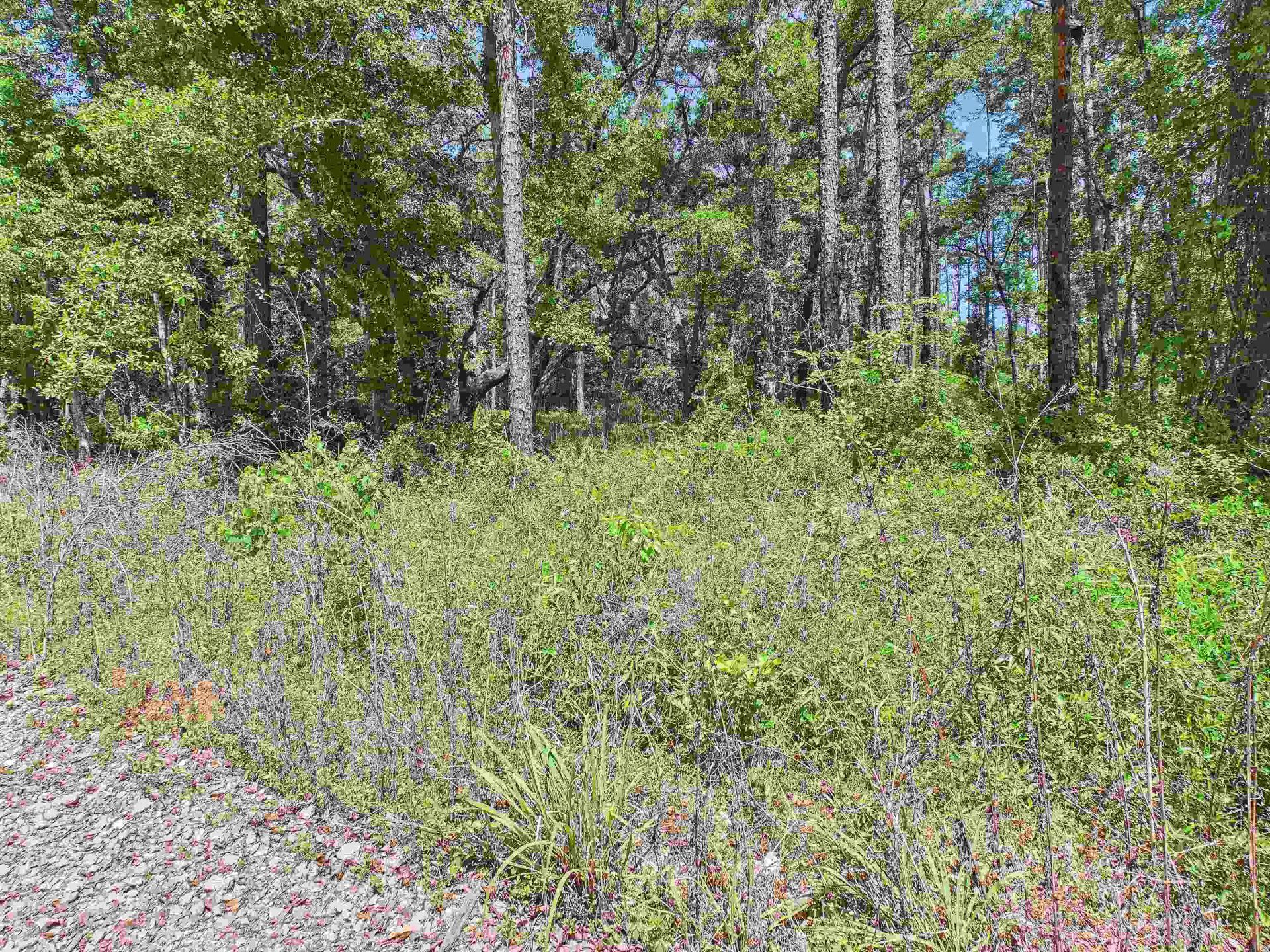 Vacant E 2nd Way, Greenville, FL 32331 Photo