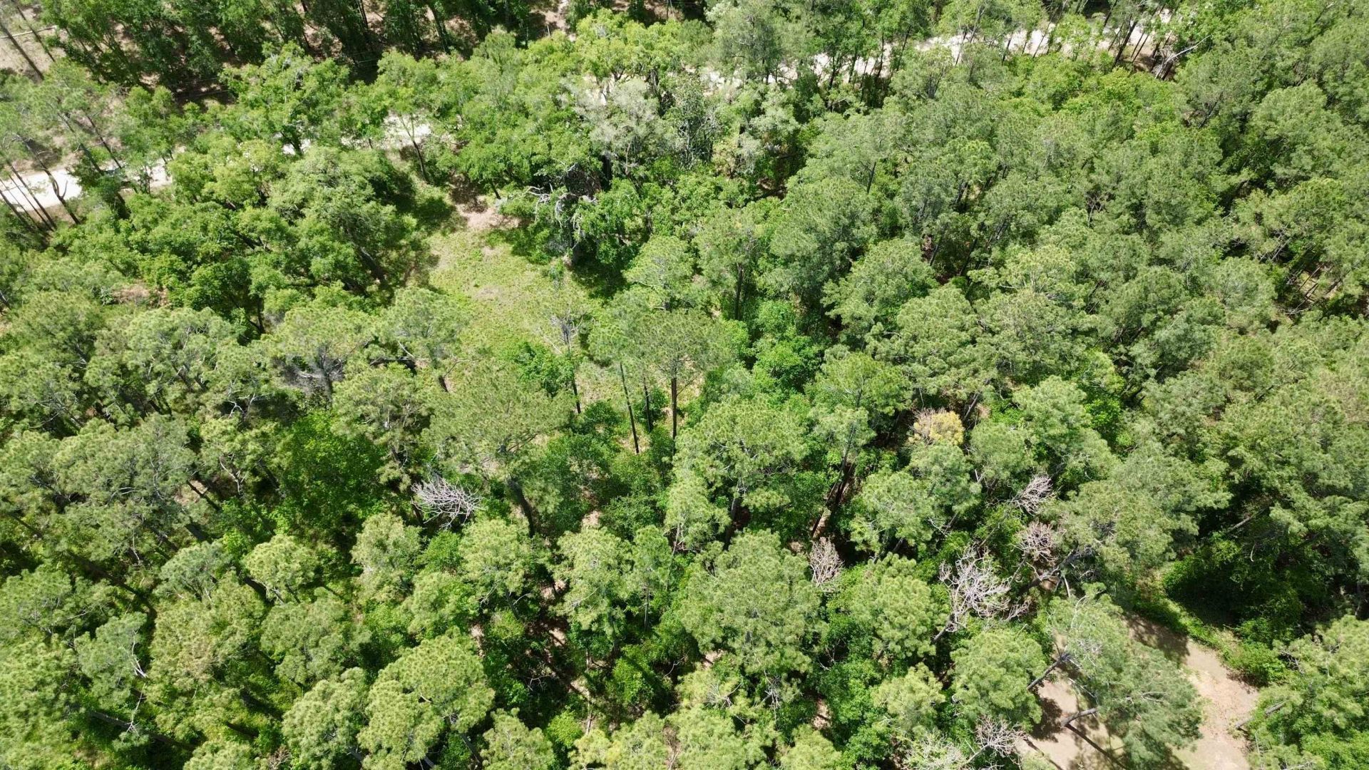 Vacant E 2nd Way, Greenville, FL 32331 Photo