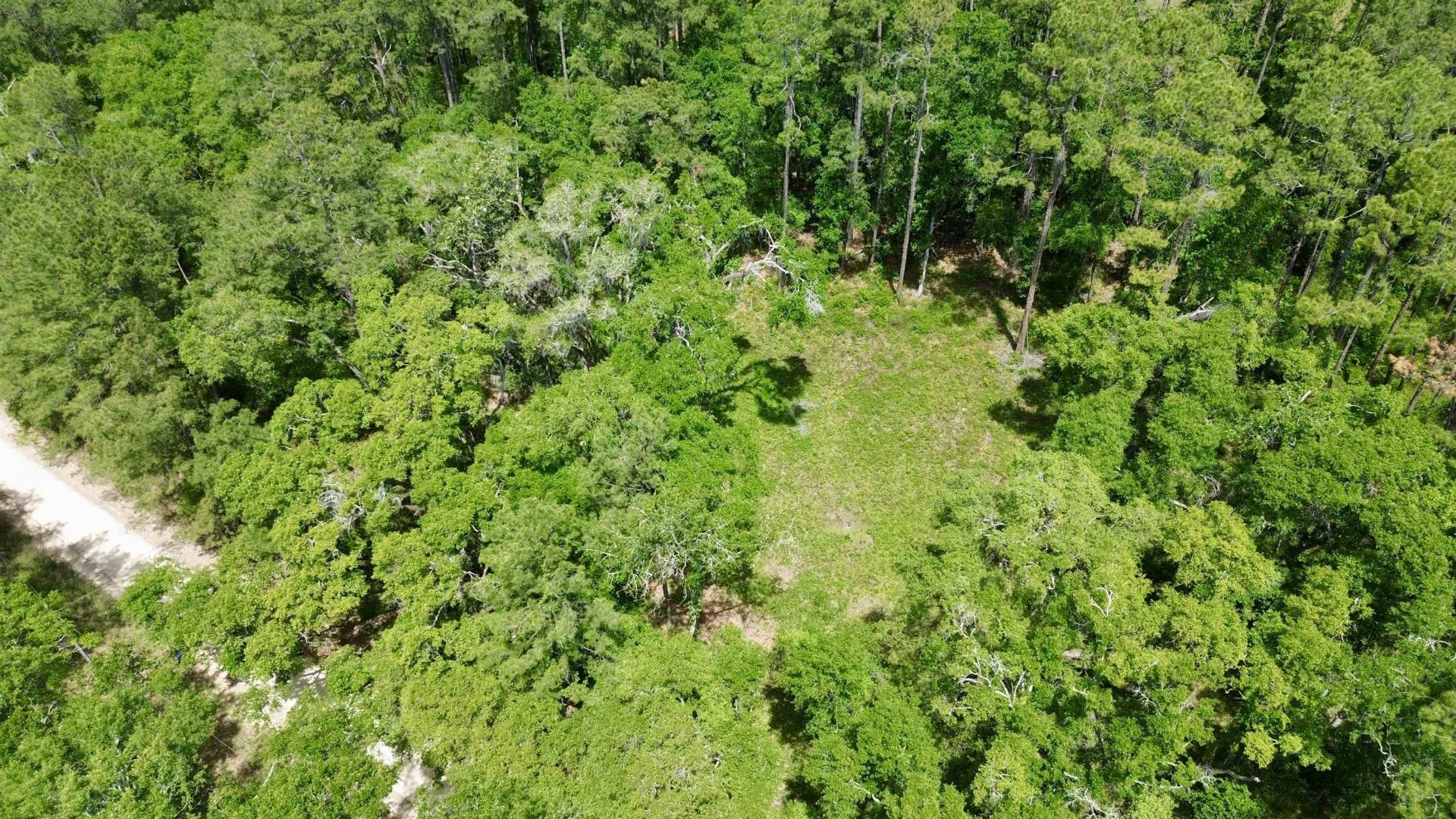 Vacant E 2nd Way, Greenville, FL 32331 Photo