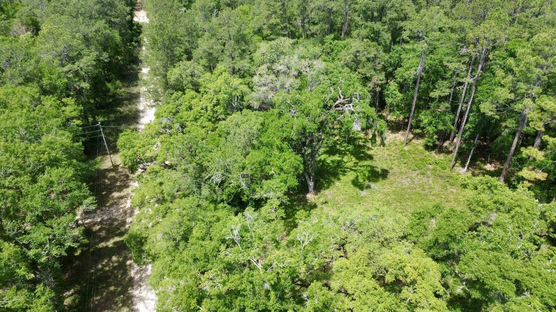Vacant E 2nd Way, Greenville, FL 32331 Photo
