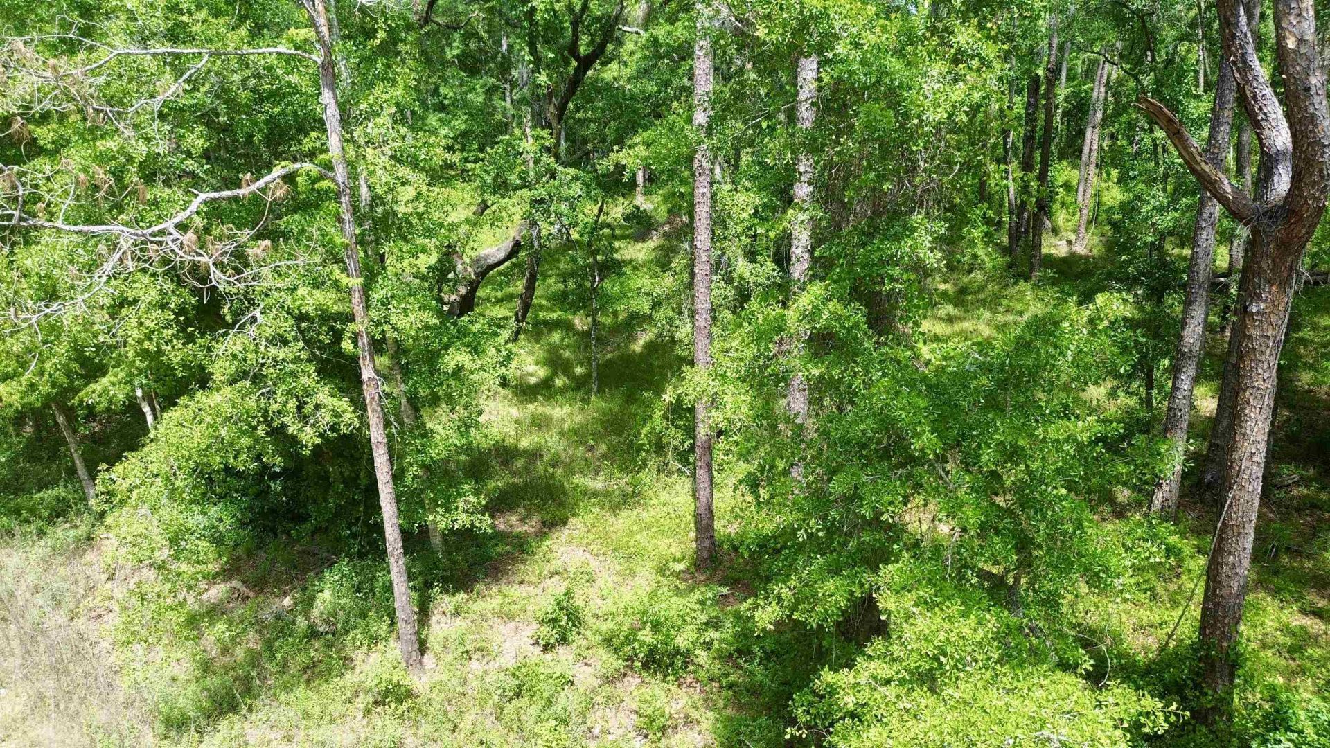 Vacant E 2nd Way, Greenville, FL 32331 Photo