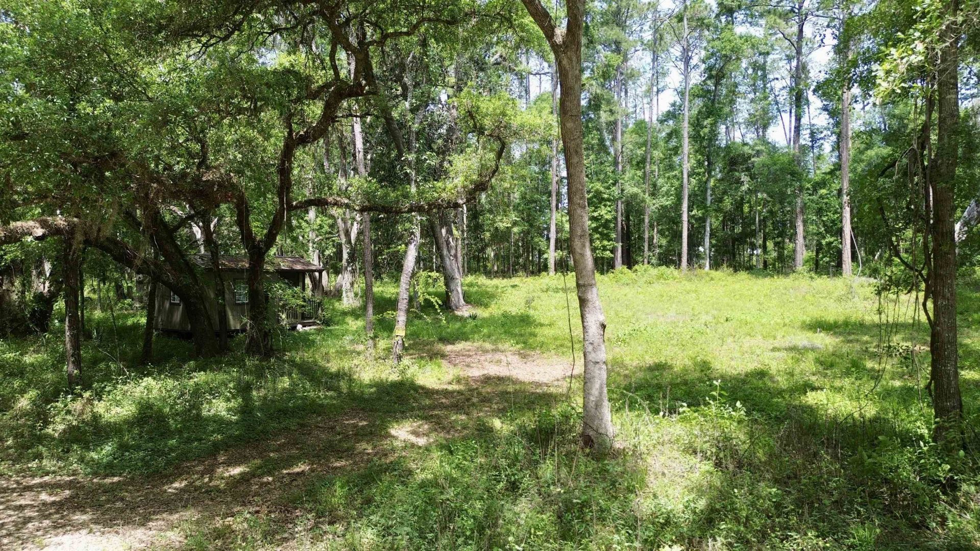 Vacant E 2nd Way, Greenville, FL 32331 Photo