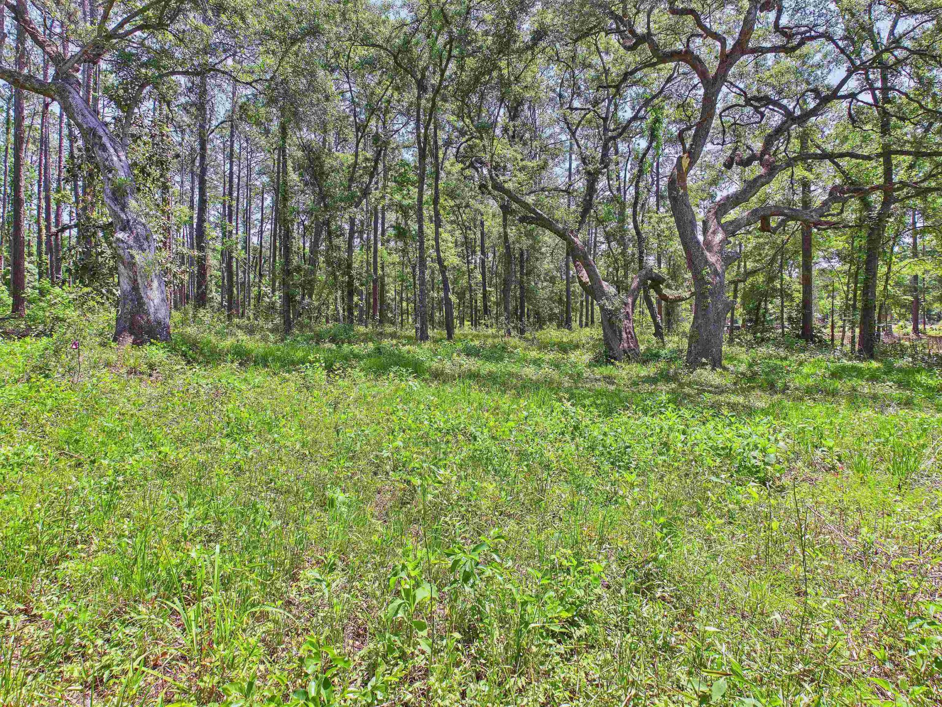 Vacant E 2nd Way, Greenville, FL 32331 Photo