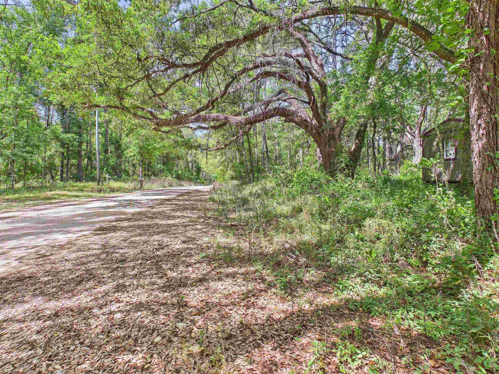 Vacant E 2nd Way, Greenville, FL 32331 Photo