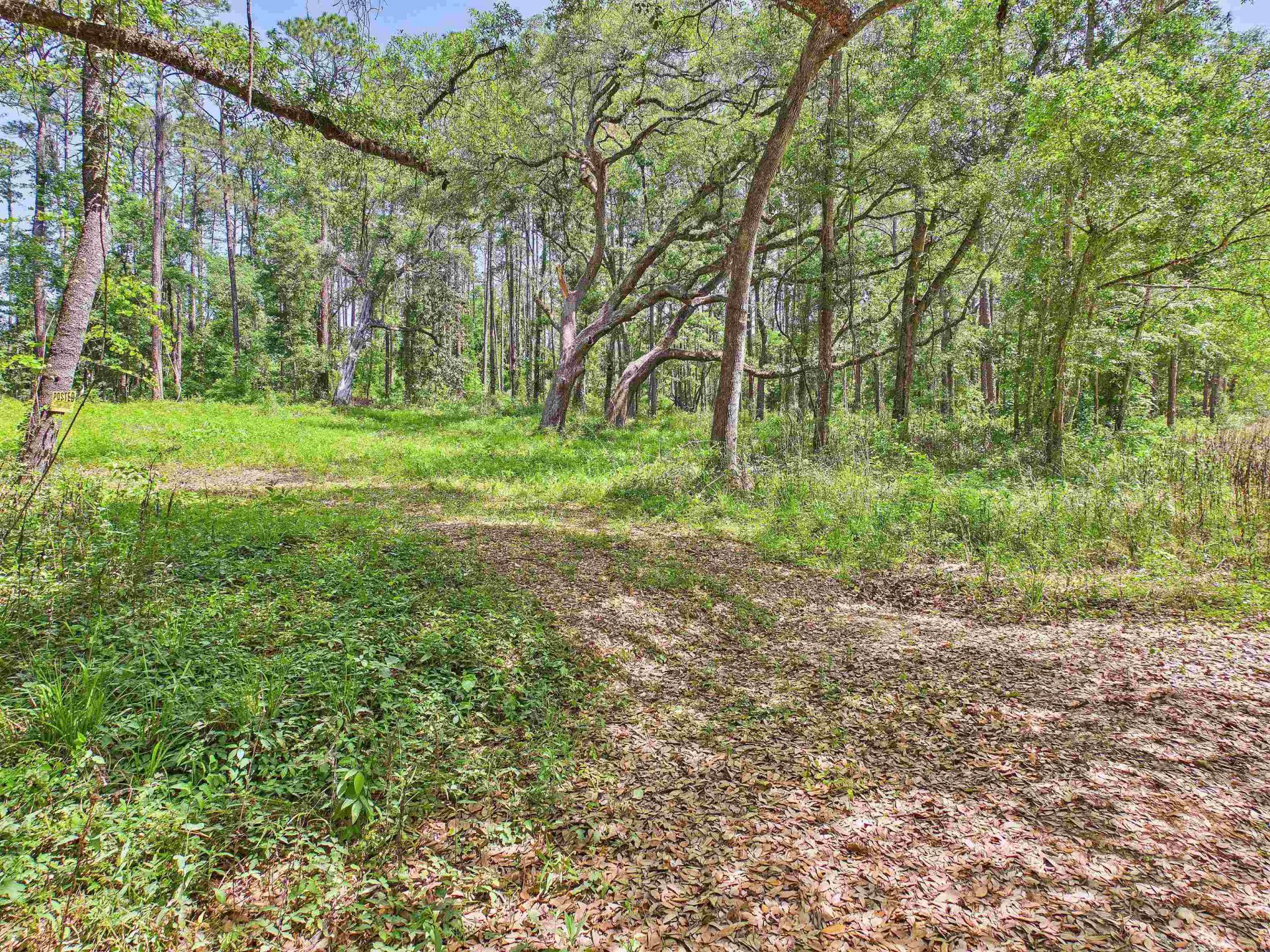 Vacant E 2nd Way, Greenville, FL 32331 Photo