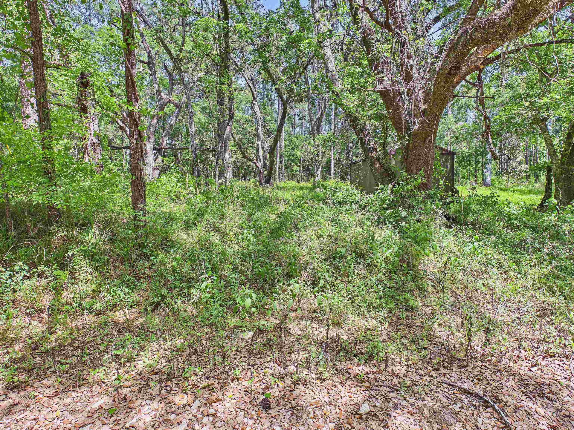 Vacant E 2nd Way, Greenville, FL 32331 Photo
