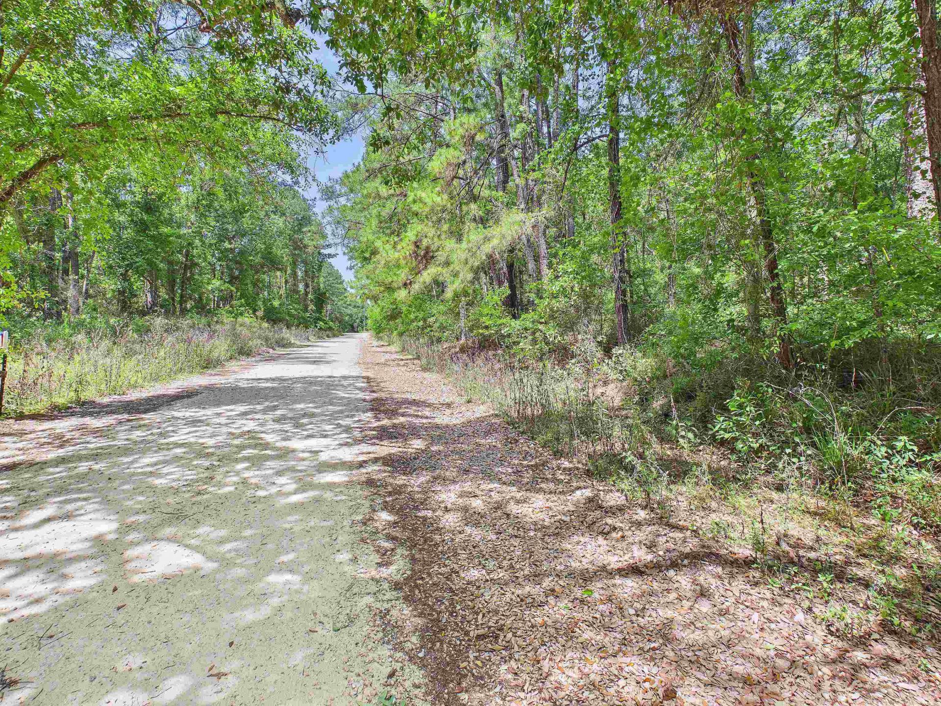 Vacant E 2nd Way, Greenville, FL 32331 Photo