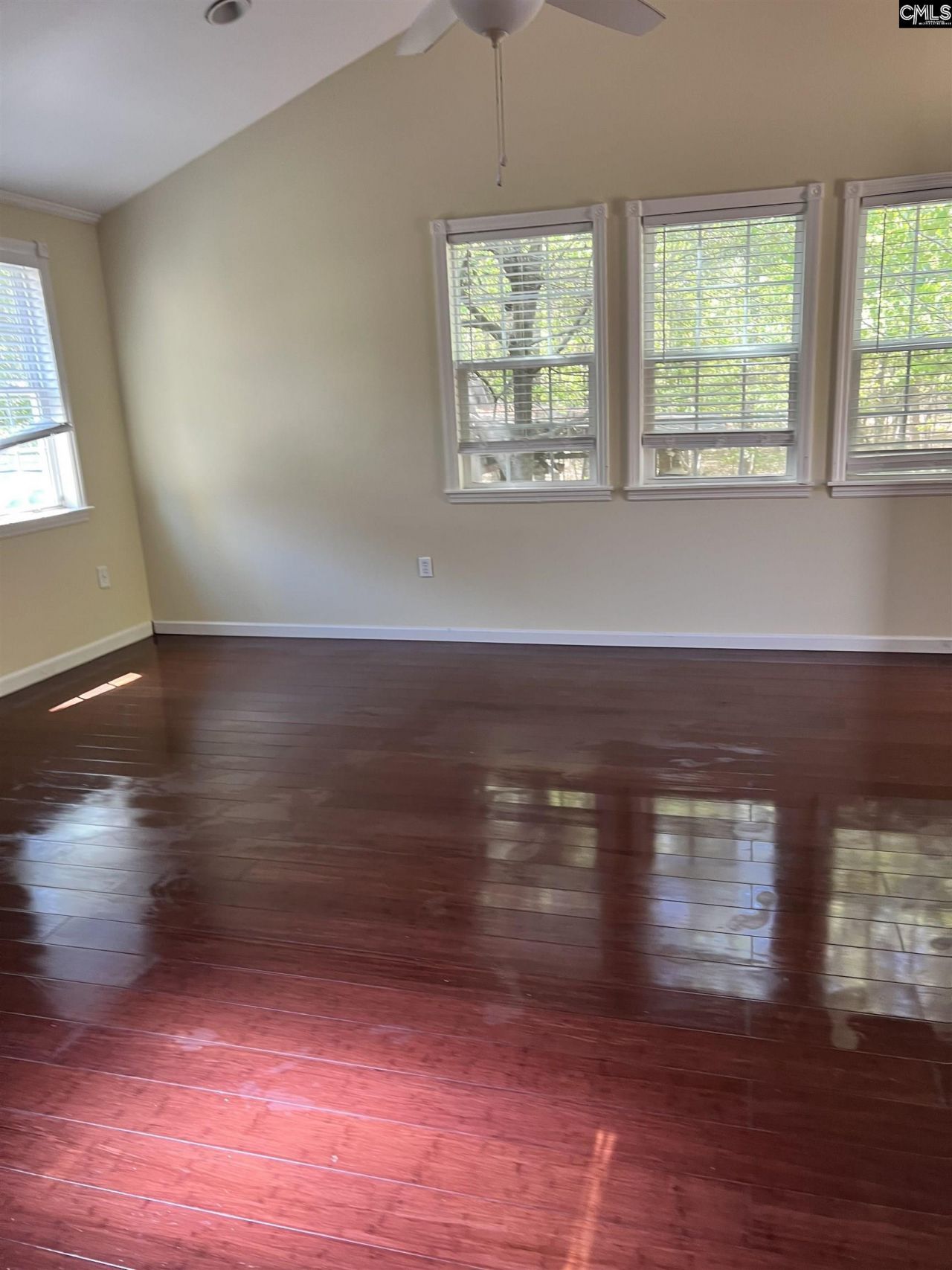 113 Salusbury Lane  Photo 23