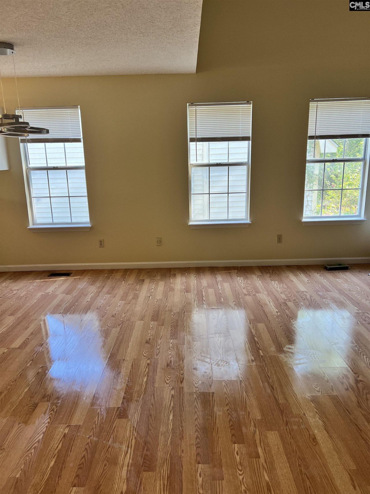 113 Salusbury Lane  Photo 31