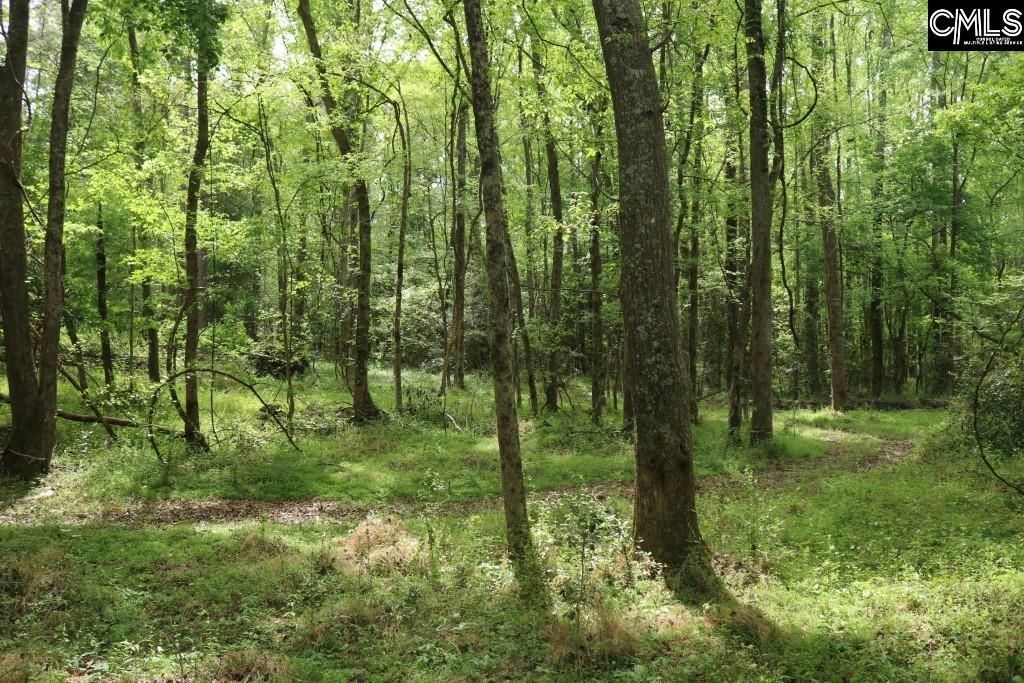 Beulah Road  Photo 9