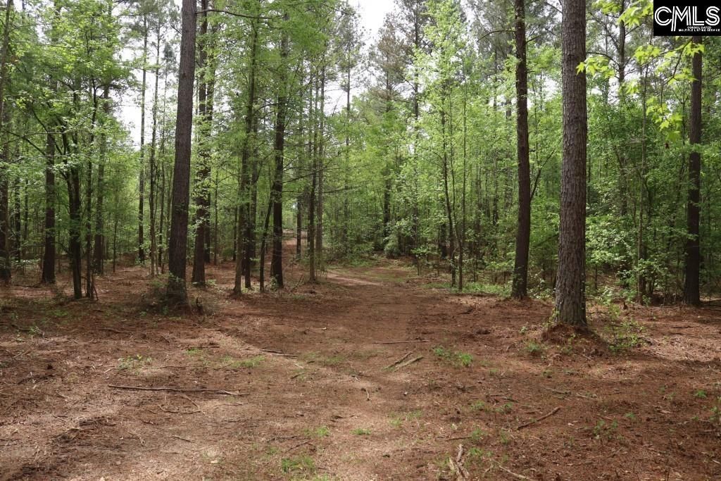 Beulah Road  Photo 13