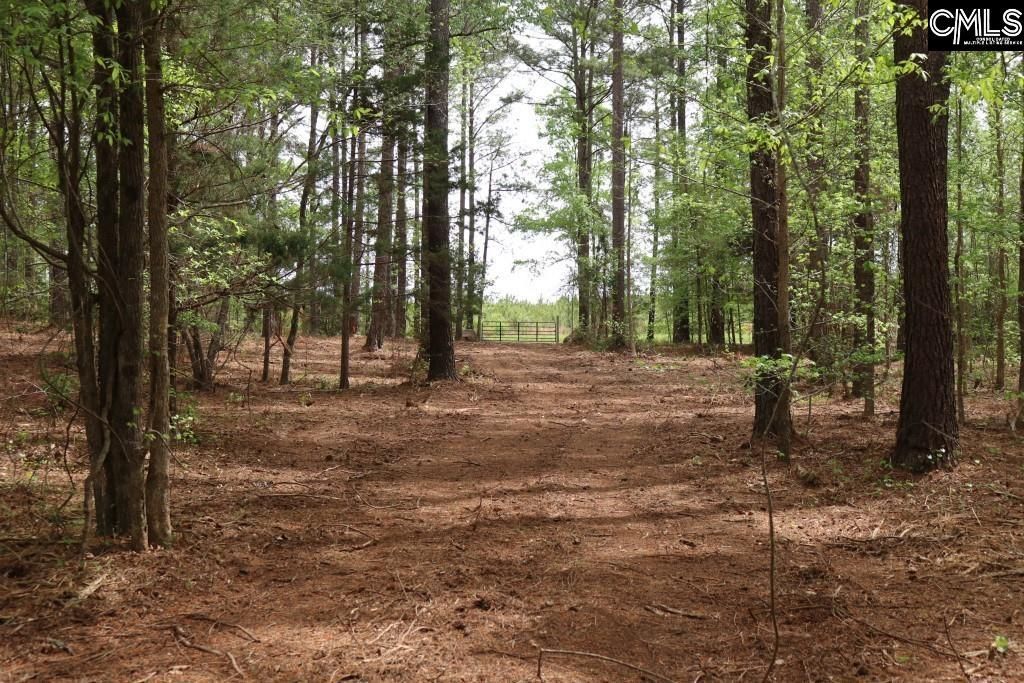 Beulah Road  Photo 14